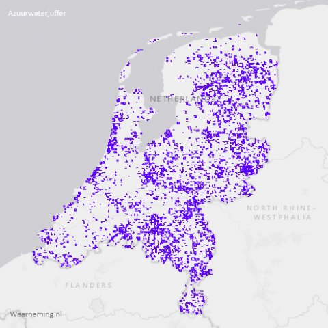 Verspreiding azuurwaterjuffer in Nederland 2017-2022