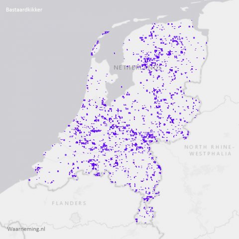 Verspreiding bastaardkikker in Nederland 2017-2022