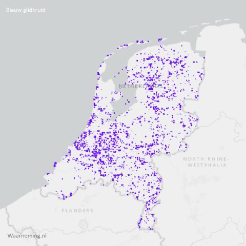 Verspreiding blauw glidkruid 2017-2022