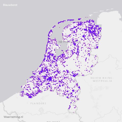 Verspreiding blauwborst 2017-2022