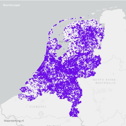 Verspreiding boomkruiper 2017-2022