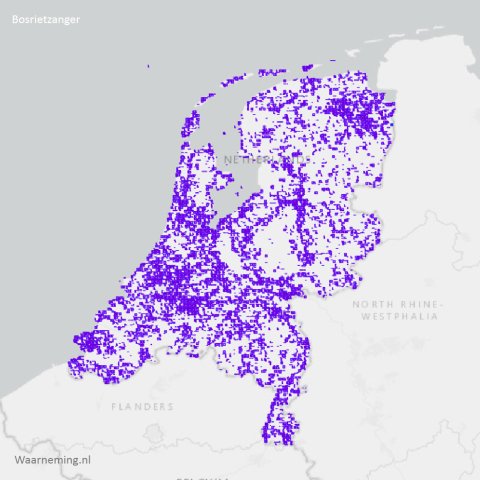 Verspreiding bosrietzanger 2017-2022