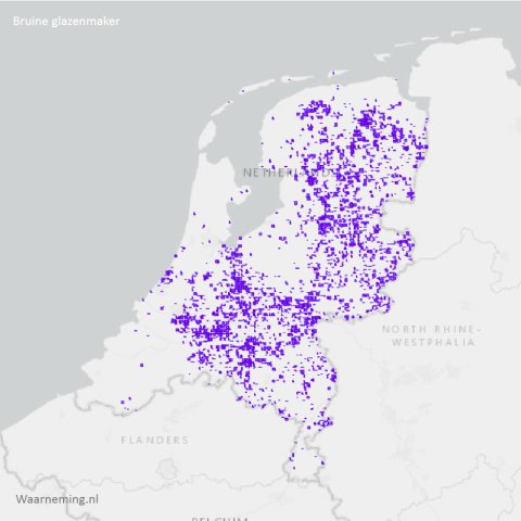 Verspreiding bruine glazenmaker 2017-2022