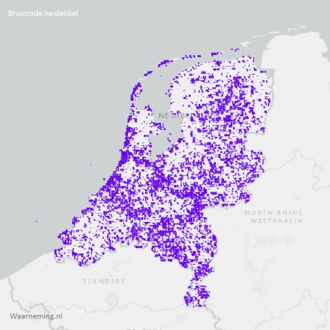 Verspreiding bruinrode heidelibel 2017-2022