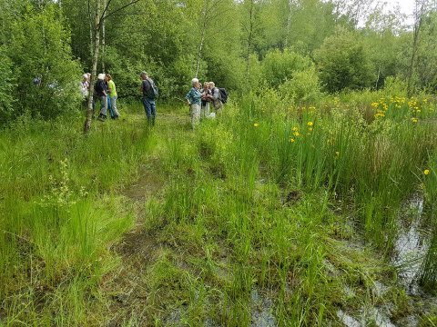 Cursussen en excursies Bureau Biota