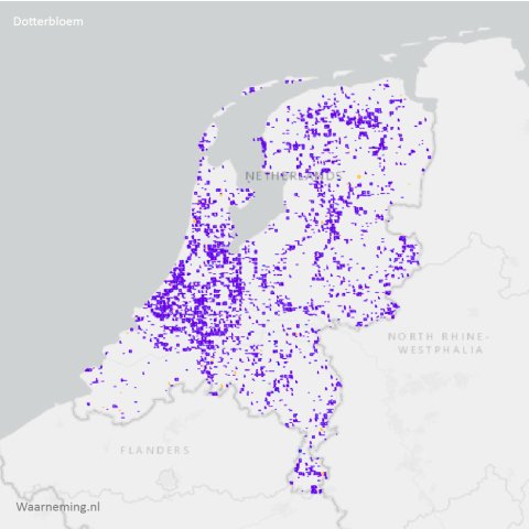 Verspreiding gewone dotterbloem 2017-2022