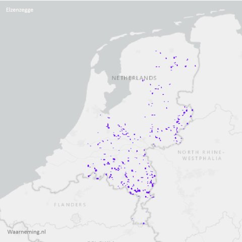 Verspreiding elzenzegge 2017-2022