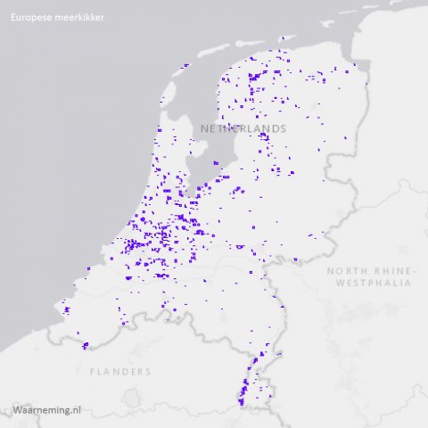 Verspreiding Europese meerkikker in Nederland 2017-2022