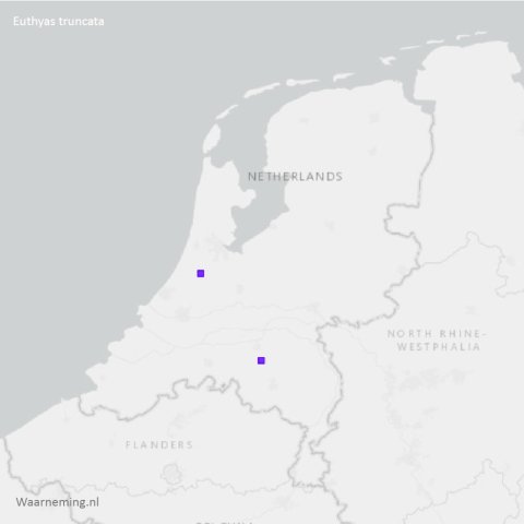 Verspreiding Euthyas truncata 2012-2022