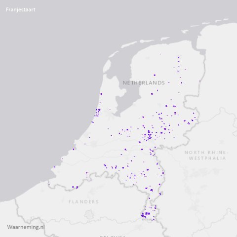 Verspreiding franjestaart 2012-2022