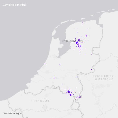 Verspreiding gevlakte glanslibel 2012-2022