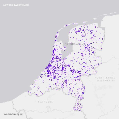 Verspreiding gewone tweevleugel 2017-2022