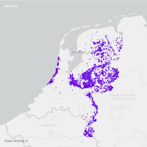 Verspreiding glanskop 2017-2022