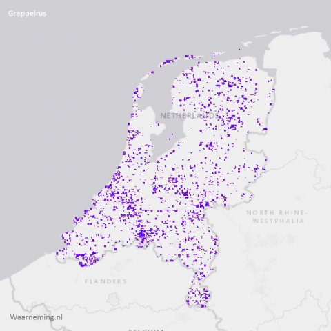 Verspreiding greppelrus - juncus bufonius 2017-2022