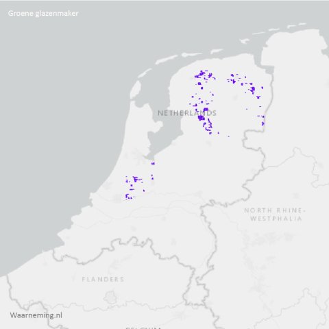 Verspreiding groene glazenmaker 2017-2022