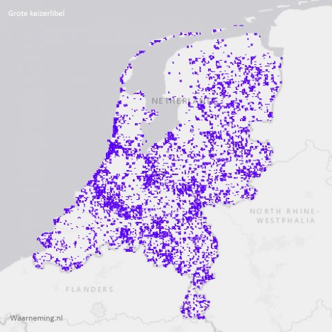 Verspreiding grote keizerlibel in Nederland