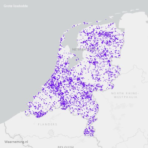 Verspreiding grote lisdodde 2017-2022