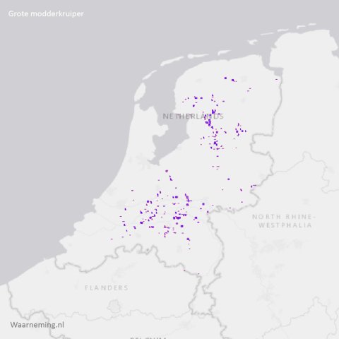 Verspreiding grote modderkruiper 2012-2022