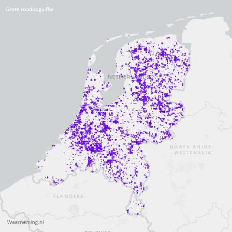 Verspreiding grote roodoogjuffer