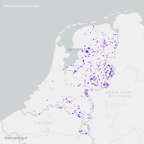 Verspreiding grote weerschijnvlinder 2017-2022