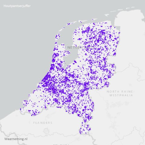 Verspreiding houtpantserjuffer 2017-2022