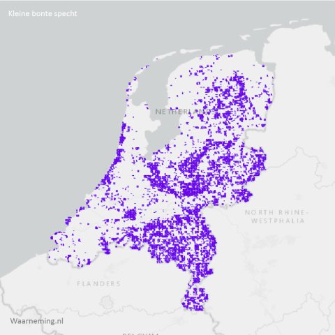 Verspreiding kleine bonte specht 2017-2022