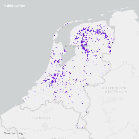 Verspreiding krabbenscheer 2017-2022