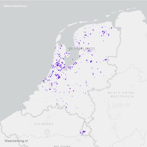 Verspreiding meervleermuis 2017-2022