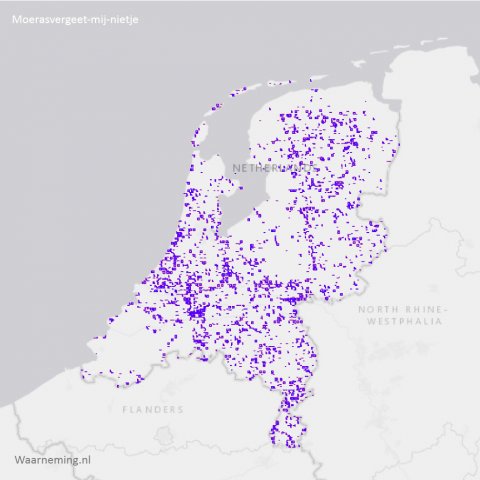 Verspreiding moerasvergeet-mij-nietje 2017-2022