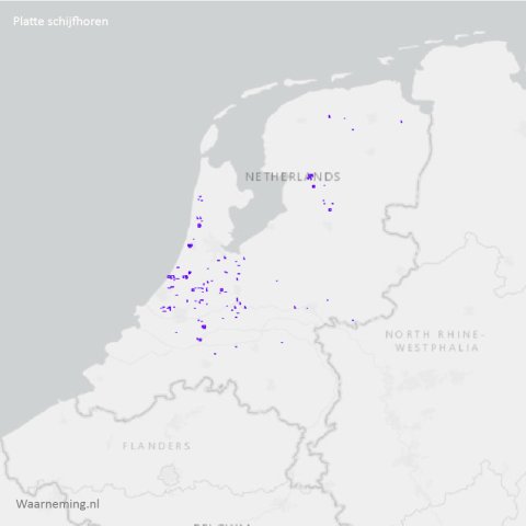 Verspreiding platte schijfhoren 2012-2022