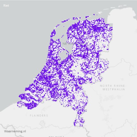 Verpreiding riet 2017-2022