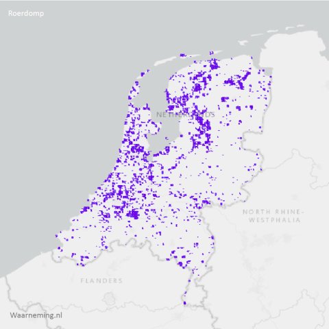 Verspreiding roerdomp 2017-2022