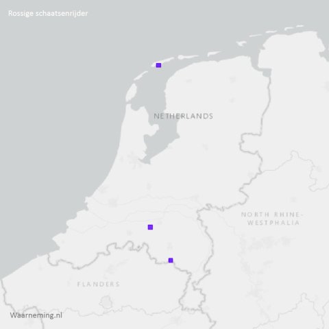 Verspreidingrossige schaatsenrijder 2012-2022