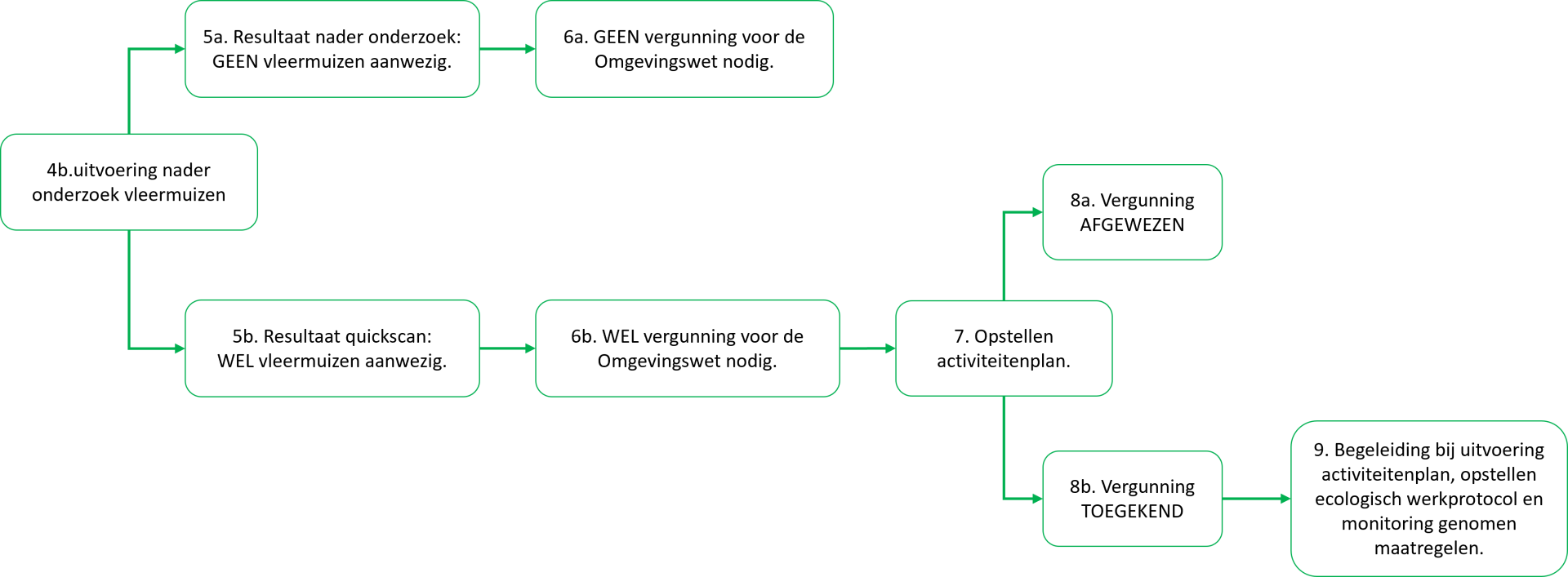 Schema vleermuizen Ow NO