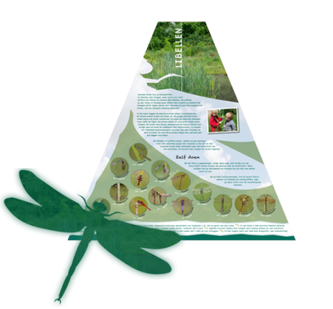 Natuurinfotafel Groningen Beijum Libellen