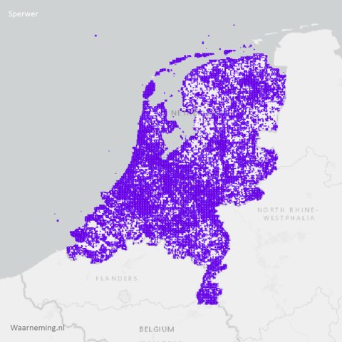 Verspreiding sperwer 2017-2022