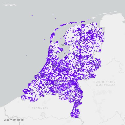 Verpsreiding tuinfluiter 2017-2022