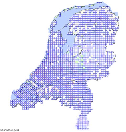 Veelkleurig Aziatisch lieveheersbeestje (Harmonia axyridis)