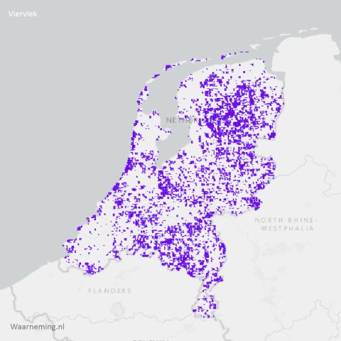 Verspreiding viervlek 2017-2022