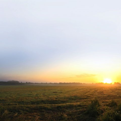 Natuurinfotafel Groningen ecoduct Vos Achtergrond