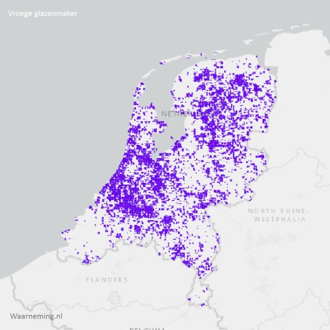 Verspreiding vroege glazenmaker 2017-2022