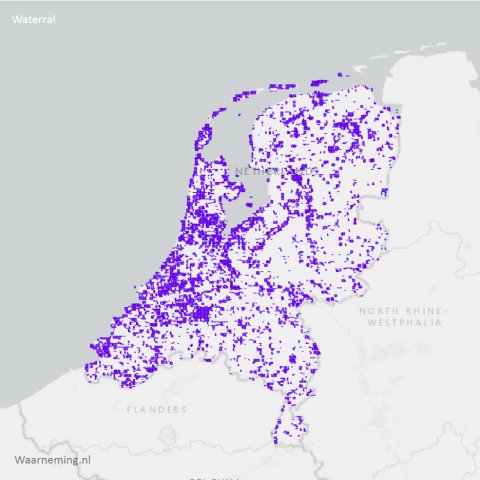 Verspreiding waterral 2017-2022