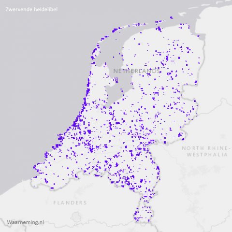 Verspreiding zwervende heidelibel in Nederland